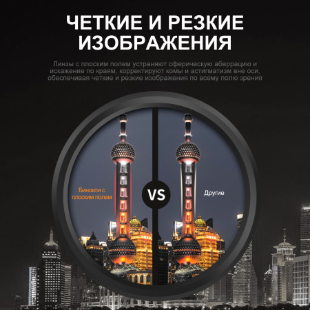 Бинокль Eyeskey SkyPower Flat-Field ED-10x42 серый EyeS-B129GS от прозводителя Eyeskey