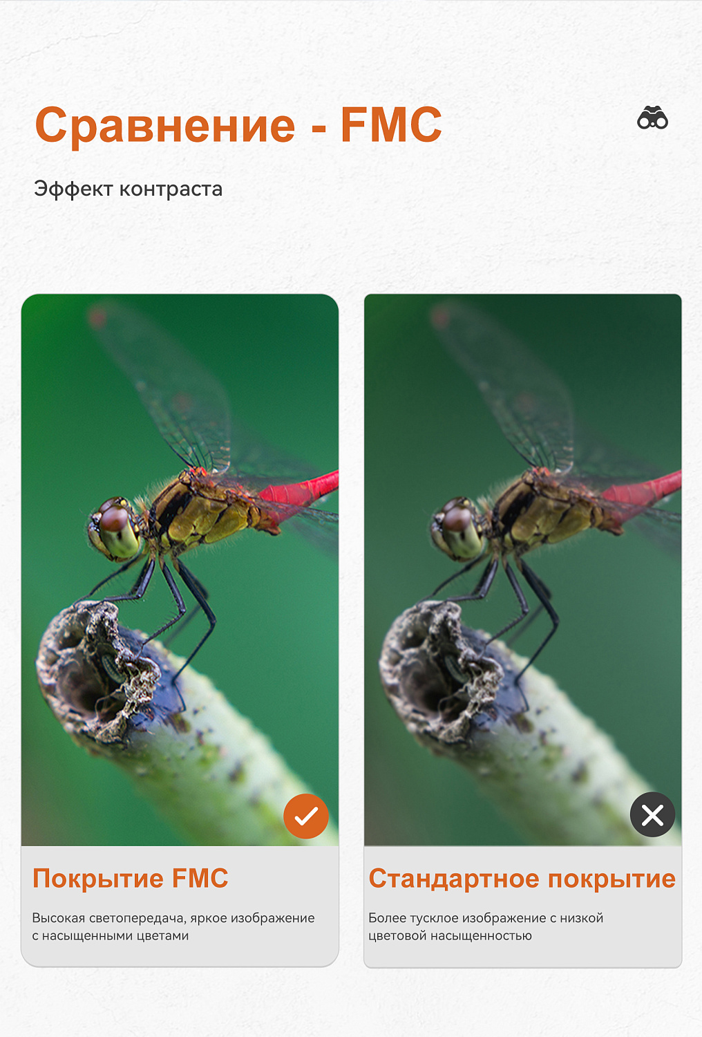 Бинокль Eyeskey SkyPower Flat-Field ED-10x42 серый
