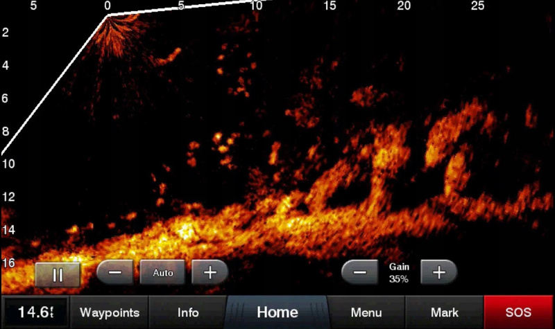 Garmin GPSMAP 723xsv/743xsv с Panoptix LVS34 + GLS10