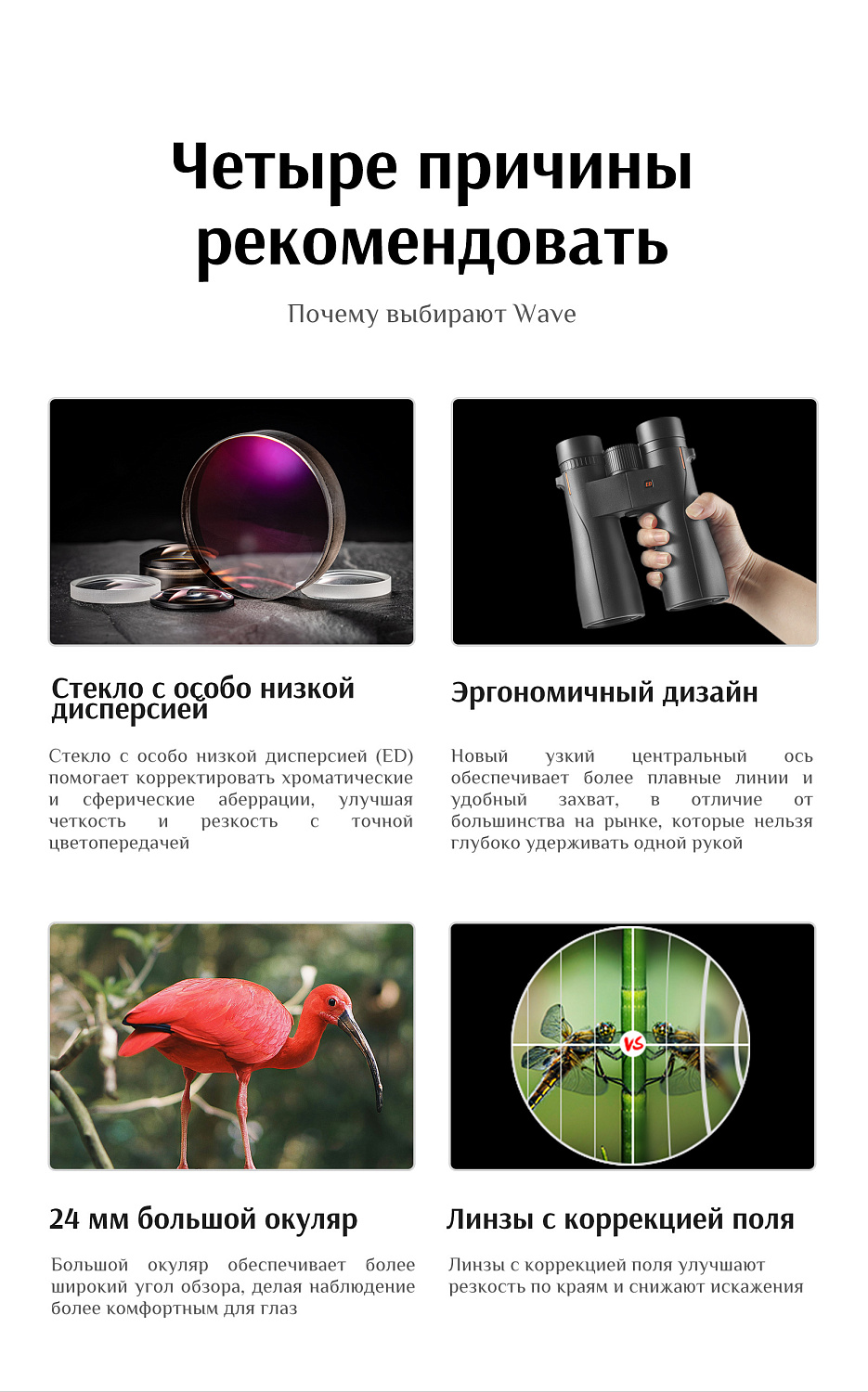 Бинокль Eyeskey Wave ED-10x42