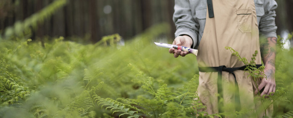 Нож Opinel №8, Escapade Elevation , 002445 002445 от прозводителя Opinel