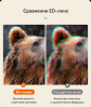 Бинокль Eyeskey Vigil - 10x42 EyeS-B151 от прозводителя Eyeskey
