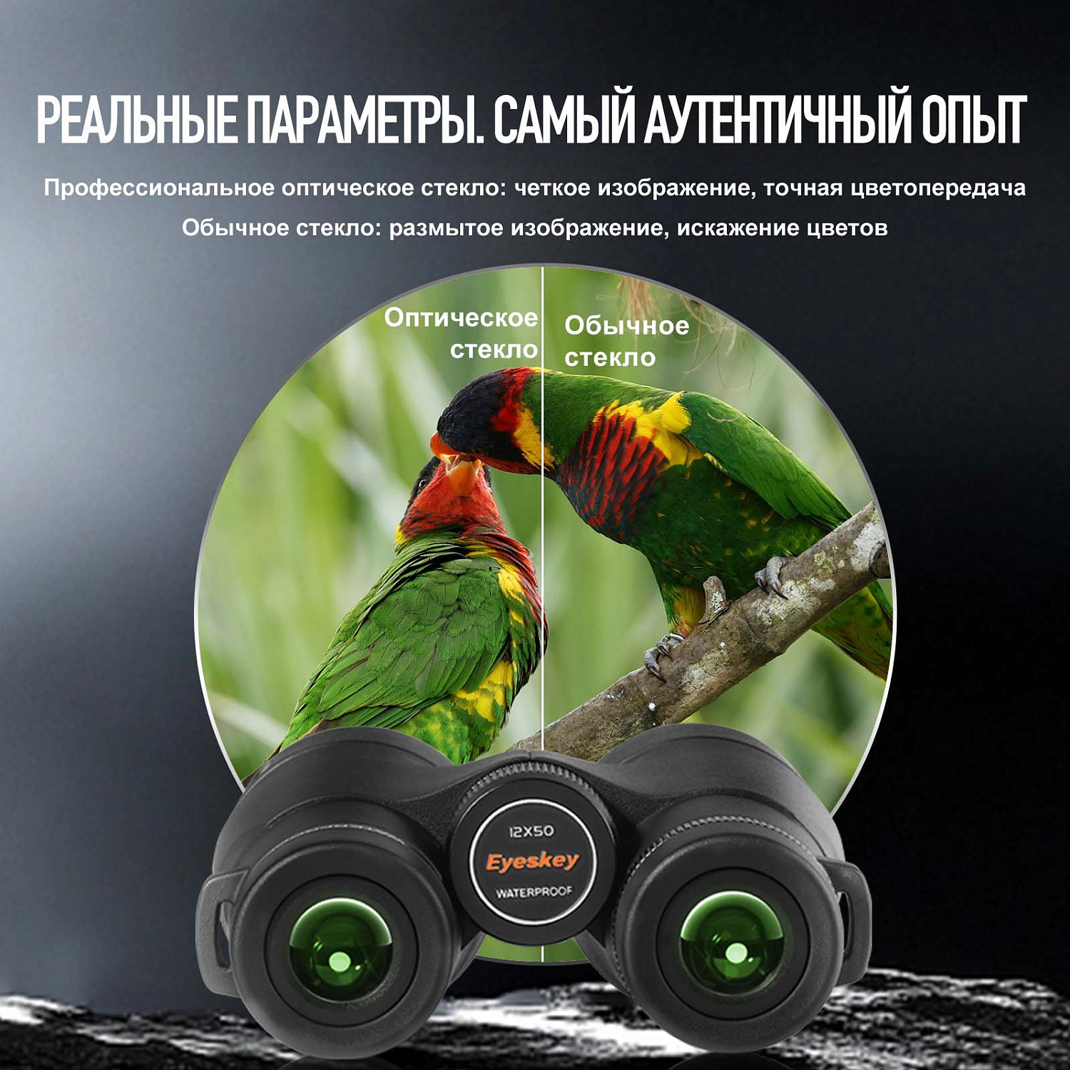Бинокль Eyeskey Surge - 12x50