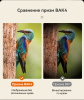 Бинокль Eyeskey Vigil - 10x42 EyeS-B151 от прозводителя Eyeskey
