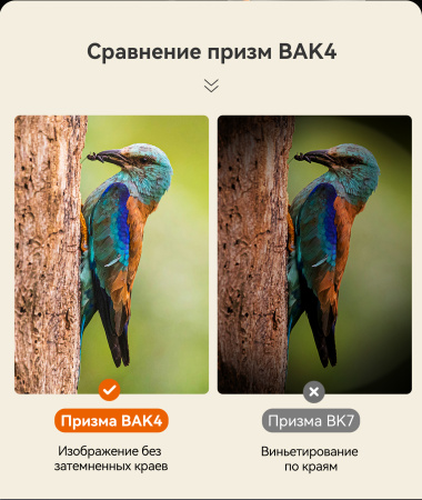 Бинокль Eyeskey Vigil - 10x42 EyeS-B151 от прозводителя Eyeskey