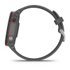 Garmin Forerunner 255 - 46 мм | Slate Gray